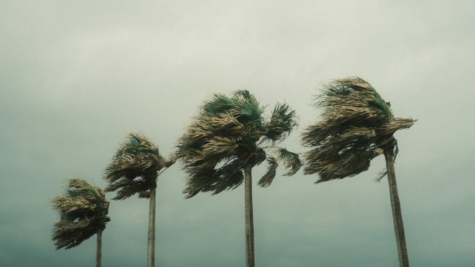FIRE, WINDSTORM / HAIL